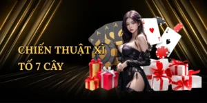chien-thuat-xi-to-7-cay-1