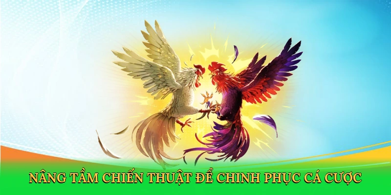 Nâng tầm chiến thuật để chinh phục cá cược tại RED88