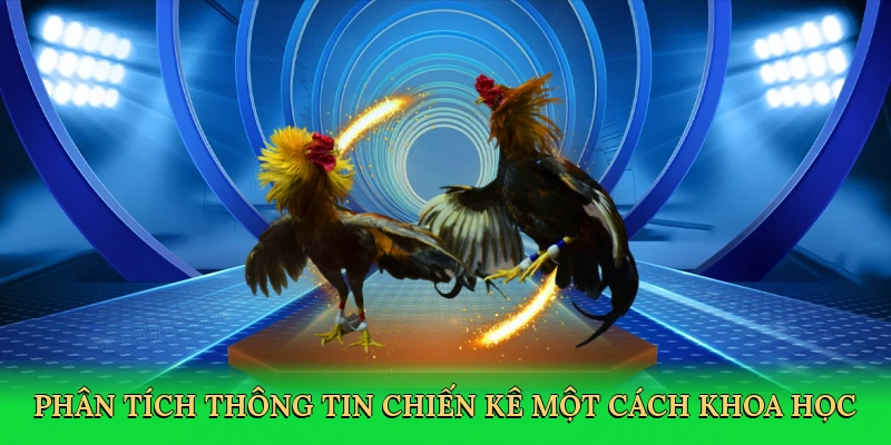 Phân tích thông tin chiến kê một cách khoa học