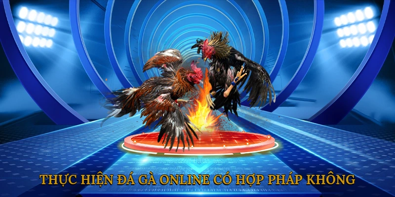Thực Hiện Đá Gà Online Có Hợp Pháp Không