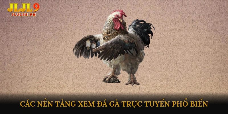 Các nền tảng xem đá gà trực tuyến phổ biến