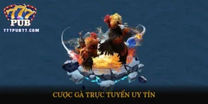 Cược gà trực tuyến uy tín