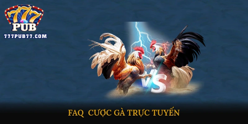 FAQ - Cược gà trực tuyến