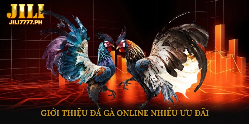 Giới Thiệu Đá Gà Online Nhiều Ưu Đãi