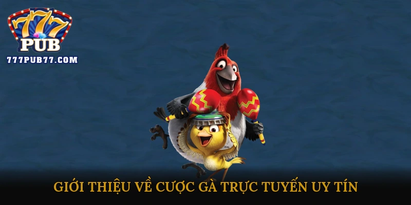 Giới thiệu về cược gà trực tuyến uy tín