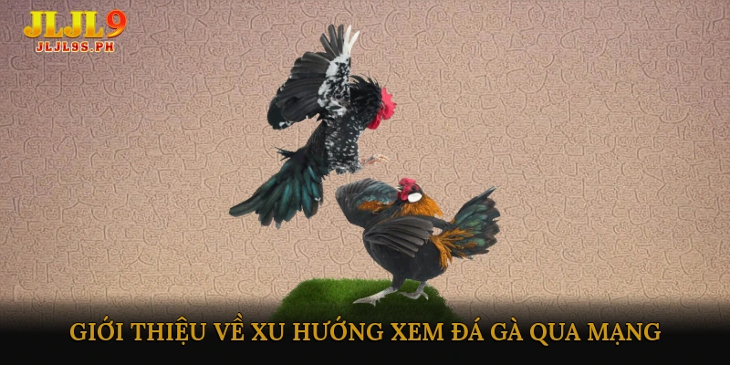Giới thiệu về xu hướng xem đá gà qua mạng