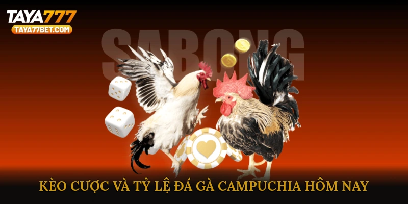 Kèo Cược Và Tỷ Lệ Đá Gà Campuchia Hôm Nay