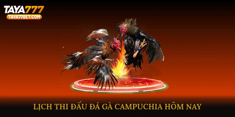 Lịch Thi Đấu Đá Gà Campuchia Hôm Nay