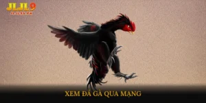 xem đá gà qua mạng