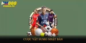 Cược vật Sumo Nhật Bản