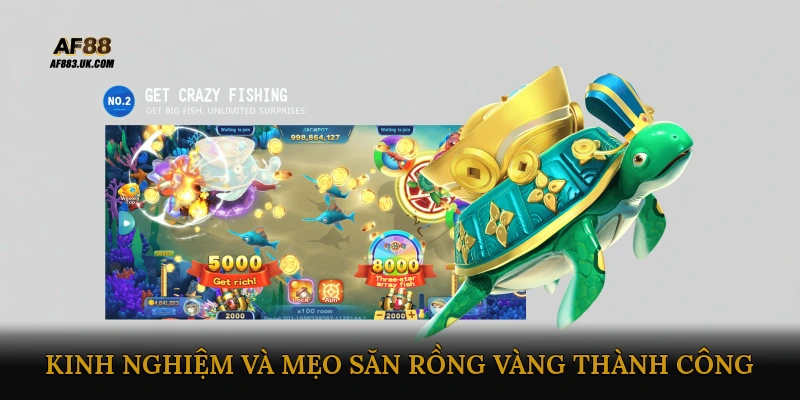 Kinh nghiệm và mẹo săn rồng vàng thành công