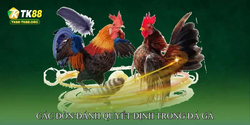 Các Đòn Đánh Quyết Định Trong Đá Gà