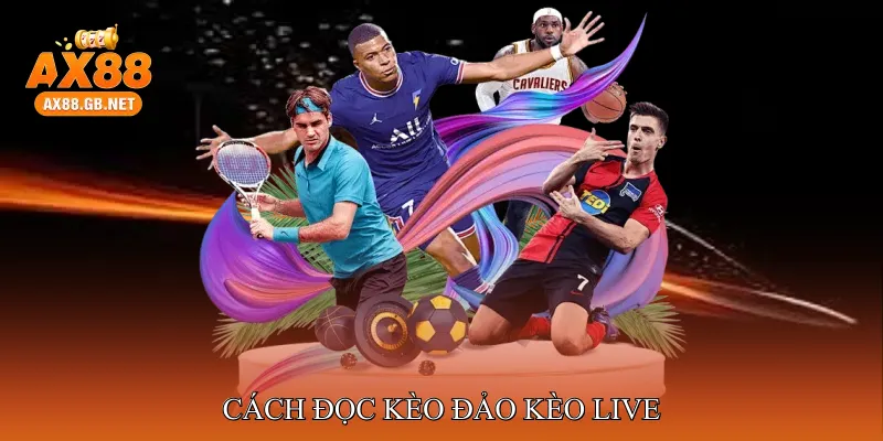Cách đọc kèo đảo kèo live 