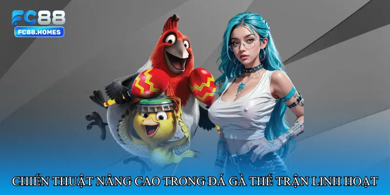 Chiến thuật nâng cao trong Đá gà thế trận linh hoạt