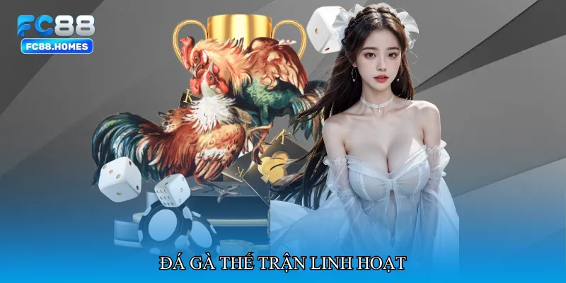 Đá gà thế trận linh hoạt