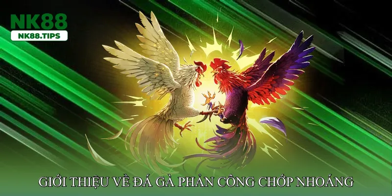 Giới Thiệu Về Đá Gà Phản Công Chớp Nhoáng