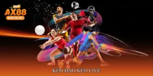kèo đảo kèo live