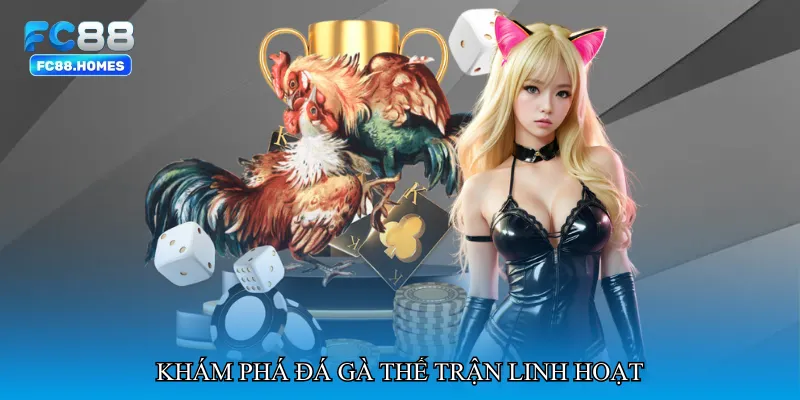 Khám phá Đá gà thế trận linh hoạt