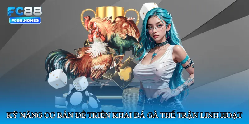 Kỹ năng cơ bản để triển khai Đá gà thế trận linh hoạt