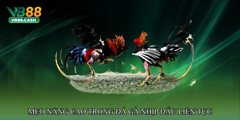 Mẹo nâng cao trong Đá gà nhịp đấu liên tục