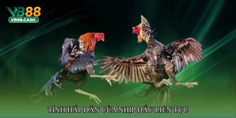 Tính hấp dẫn của nhịp đấu liên tục