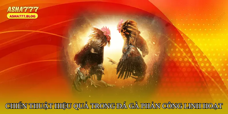 Chiến thuật hiệu quả trong Đá gà phản công linh hoạt