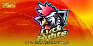 Đá gà phản công linh hoạt