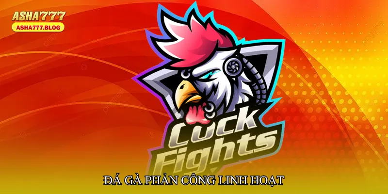 Đá gà phản công linh hoạt