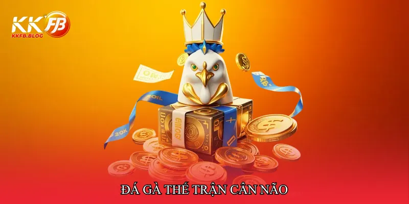 Đá gà thế trận cân não