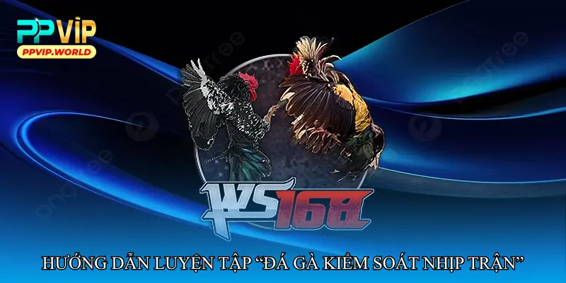 Hướng dẫn luyện tập “Đá gà kiểm soát nhịp trận”