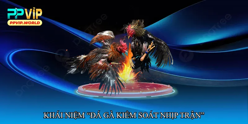 Khái niệm “Đá gà kiểm soát nhịp trận”