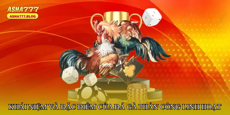 Khái niệm và đặc điểm của Đá gà phản công linh hoạt