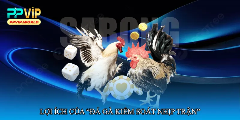Lợi ích của “Đá gà kiểm soát nhịp trận”