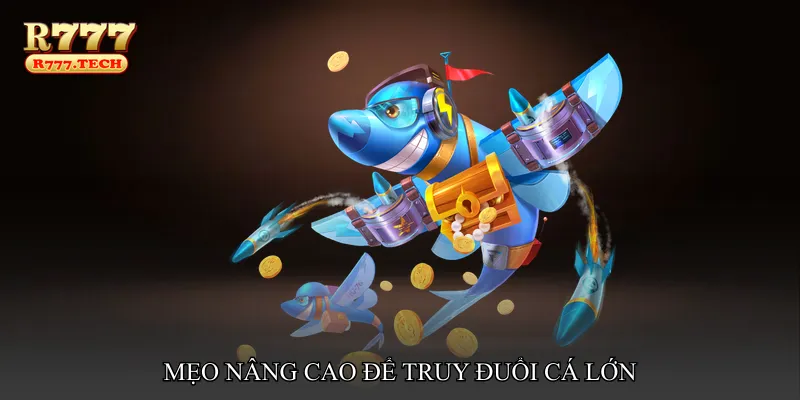 Mẹo nâng cao để truy đuổi cá lớn