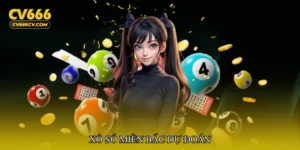 Xổ số miền Bắc dự đoán